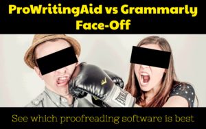 prowriting aid review best free grammar checker
